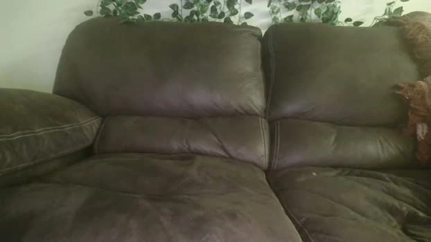 bigdicktrannynicole 21-05-2026 Trans Recording - suck fuckher