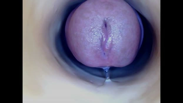 paulainoscente 22-05-2026 Trans Recording - Naked cute