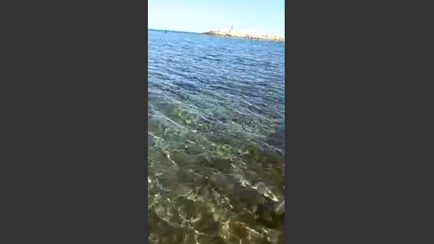 batuffolo3