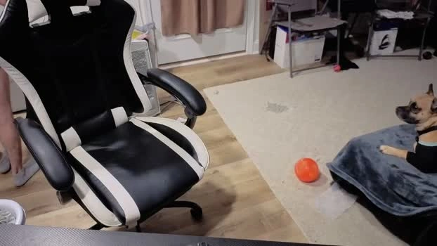 josefturner1 27-05-2026 Male Recording - deepthroat analtoy