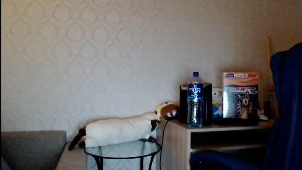 athleticloganx 08-06-2026 Male Recording - nasty Nude