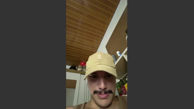 brazilianwolf4