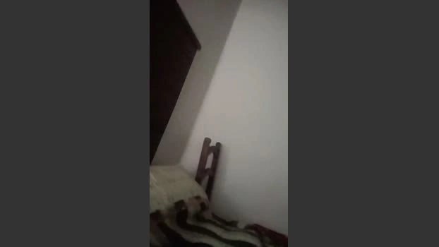 brunodegoas