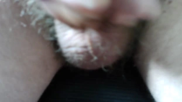 bumblebear74