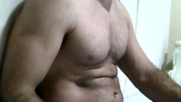 still28