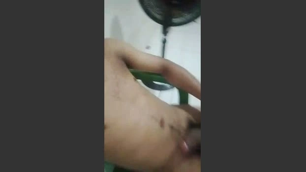 Cearensegrossso