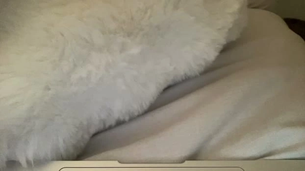 roxyrhode 15-07-2026 Cam Show kiss spank