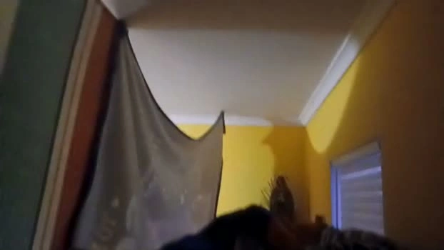 joselaoeivty18 16-07-2026 Male Recording - ass sexybody