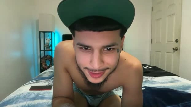 handsome_dick_swanger 18-07-2026 Male Recording - horny analsex