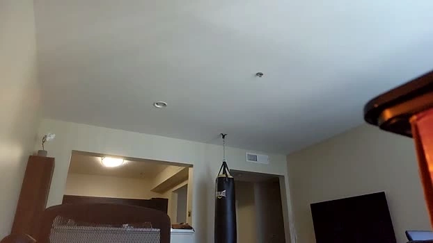 sexybull77 19-07-2026 Male Recording - amateur juicy