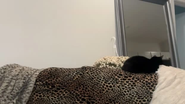 caseyyyhere 23-07-2026 Cam Show tits big
