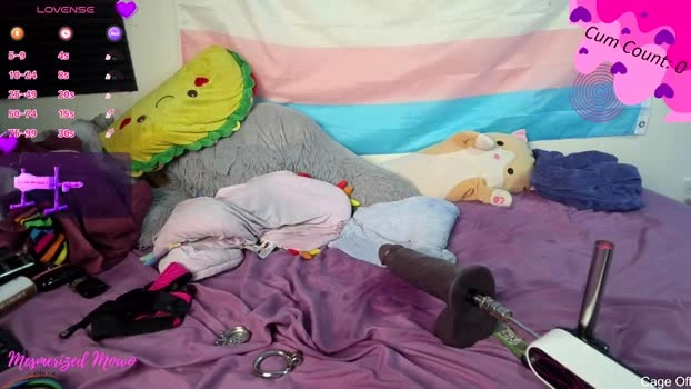 mesmerized_mowo 24-07-2026 Trans Recording - sucktits bj-dildo