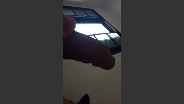 Dvolta00