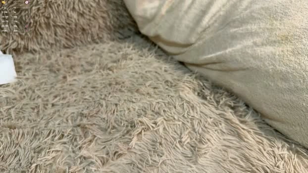 evafatcat 01-08-2026 lush bigass naughty playtime Recording