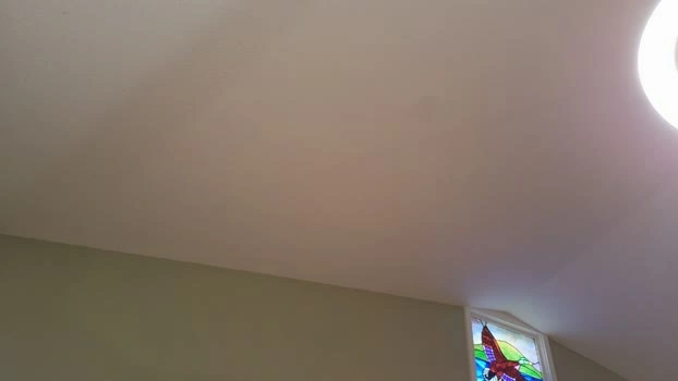 ellalowe 10-08-2026 blowjob analsex oral natural Recording
